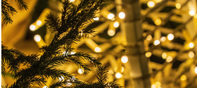 Replacement Christmas Light Bulbs