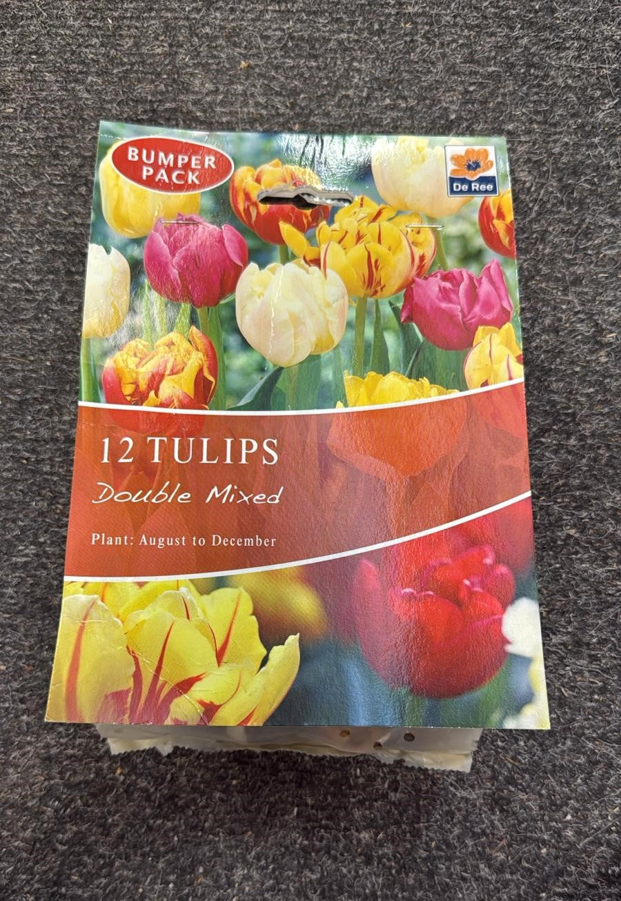De Ree UK Spring Flowering Bulbs