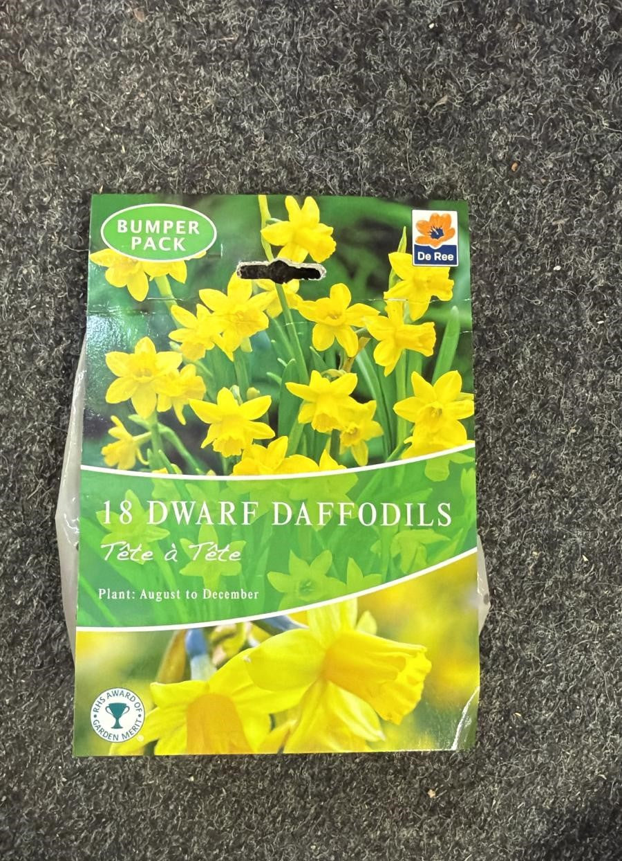 De Ree UK Spring Flowering Bulbs