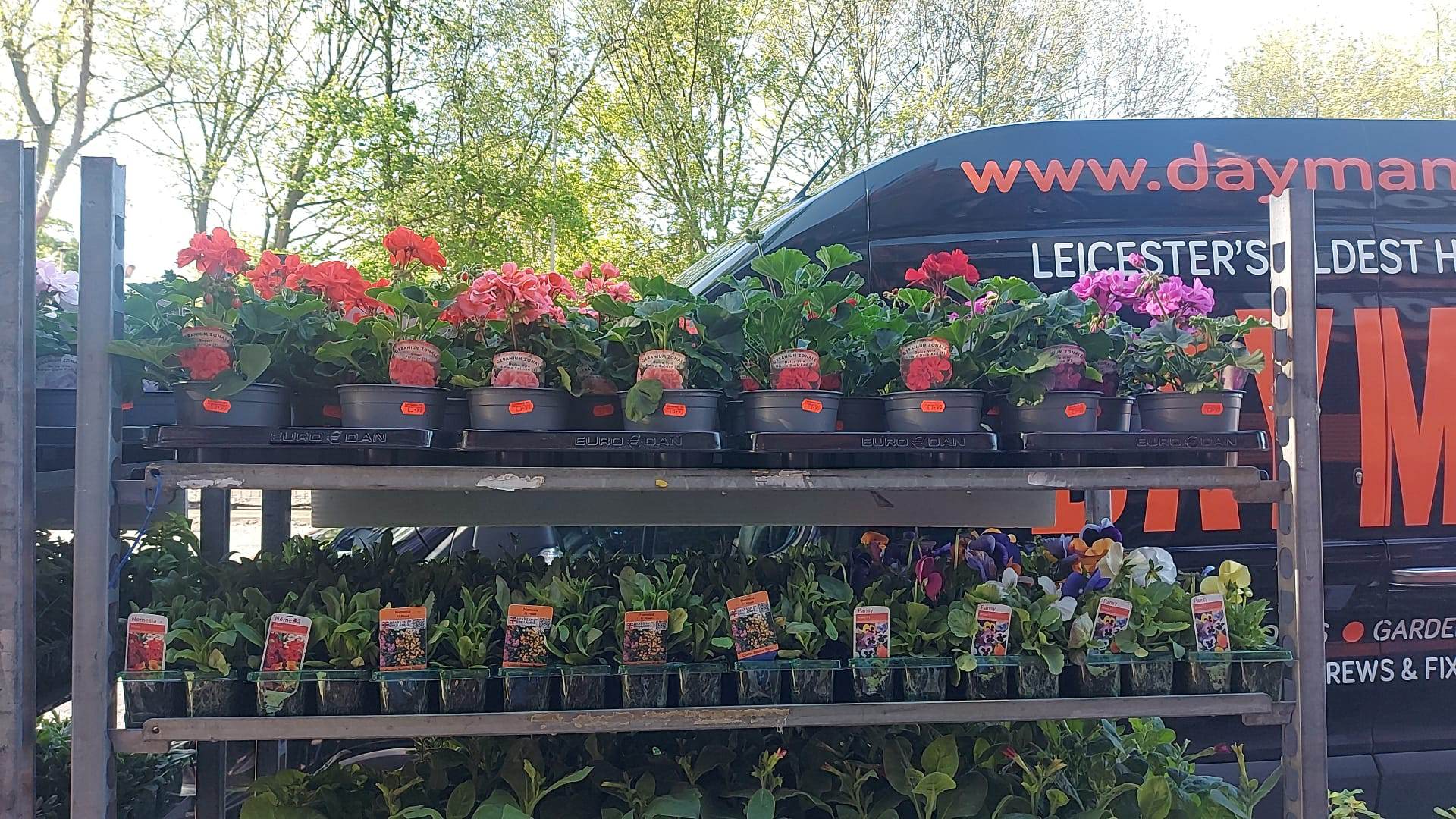 British Grown Summer Bedding Plants (5 TRAYS FOR £17.50) (LOCAL PICKUP / DELIVERY ONLY)