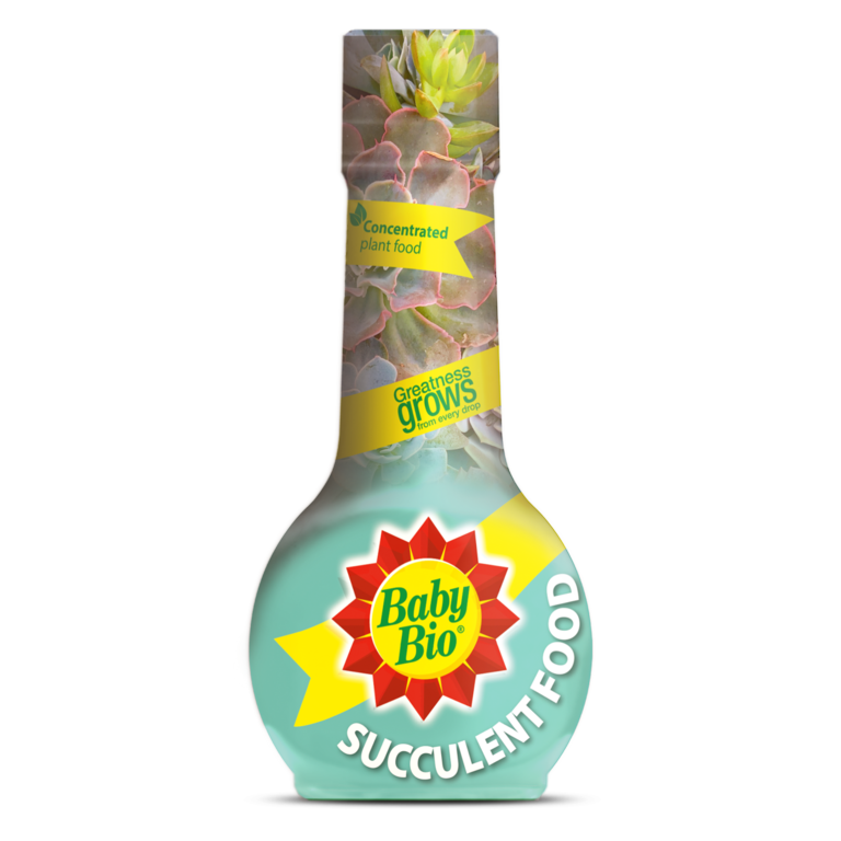 Baby Bio Succulent Food 175ml