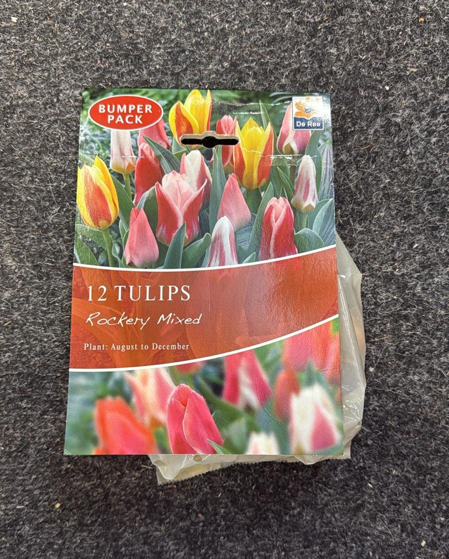 De Ree UK Spring Flowering Bulbs