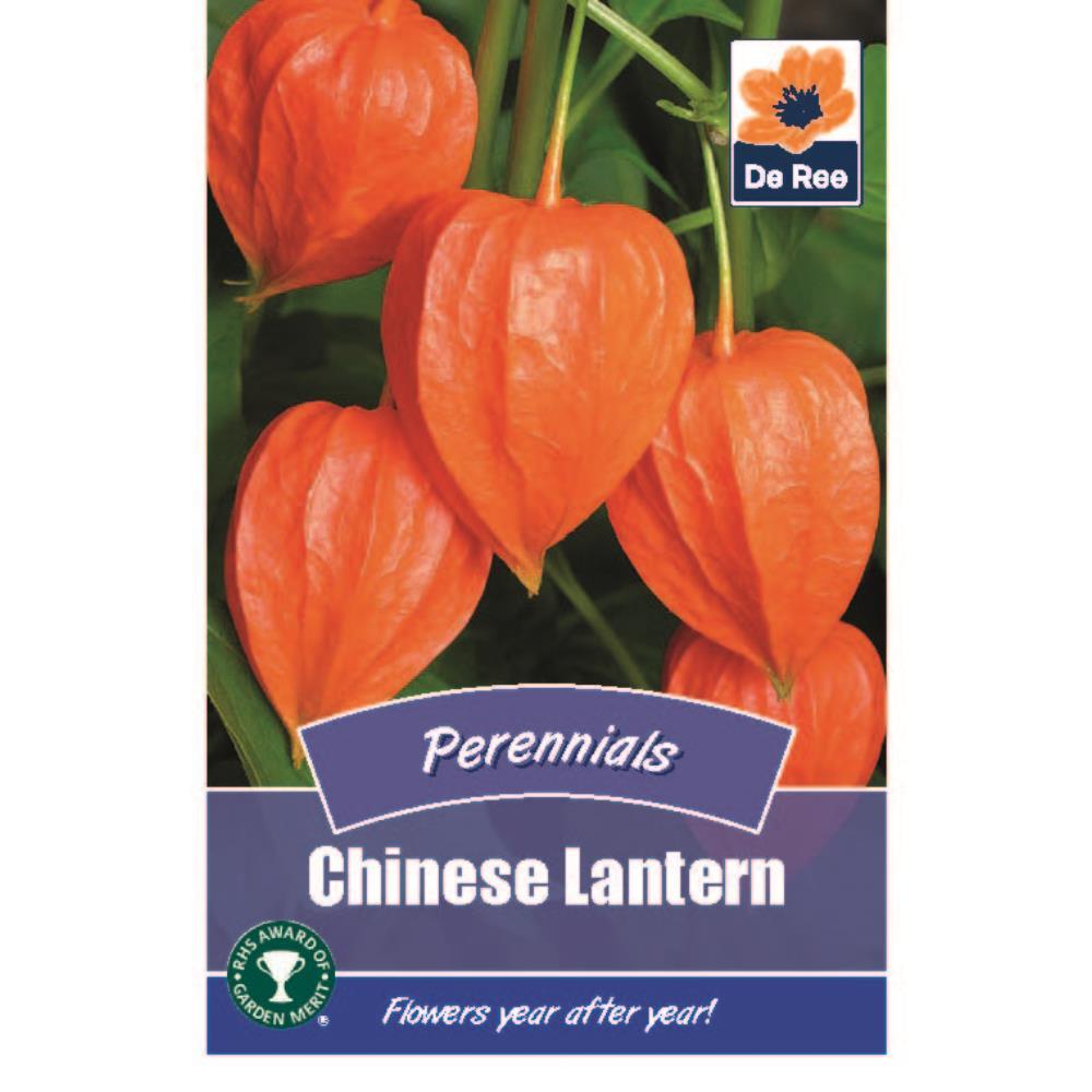 De Ree - Seeds - Flowers - Hardy Perennials - Mixed Flowers (Buy 5 Packs of Seeds Get 6th Free)