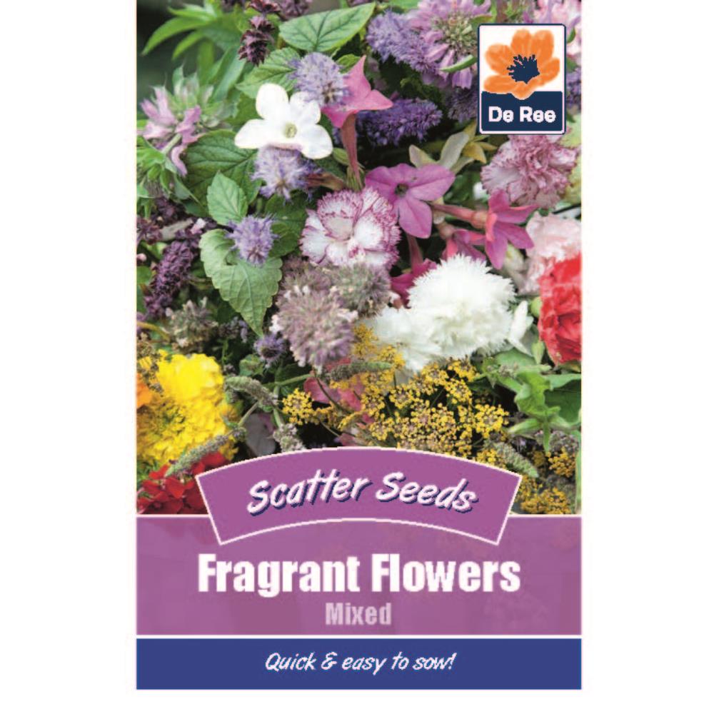 De Ree - Scatter Seeds / Wildflower Seeds (Buy 5 Packs of Seeds Get 6th Free) NEW