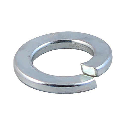 Individual Washers & Nuts