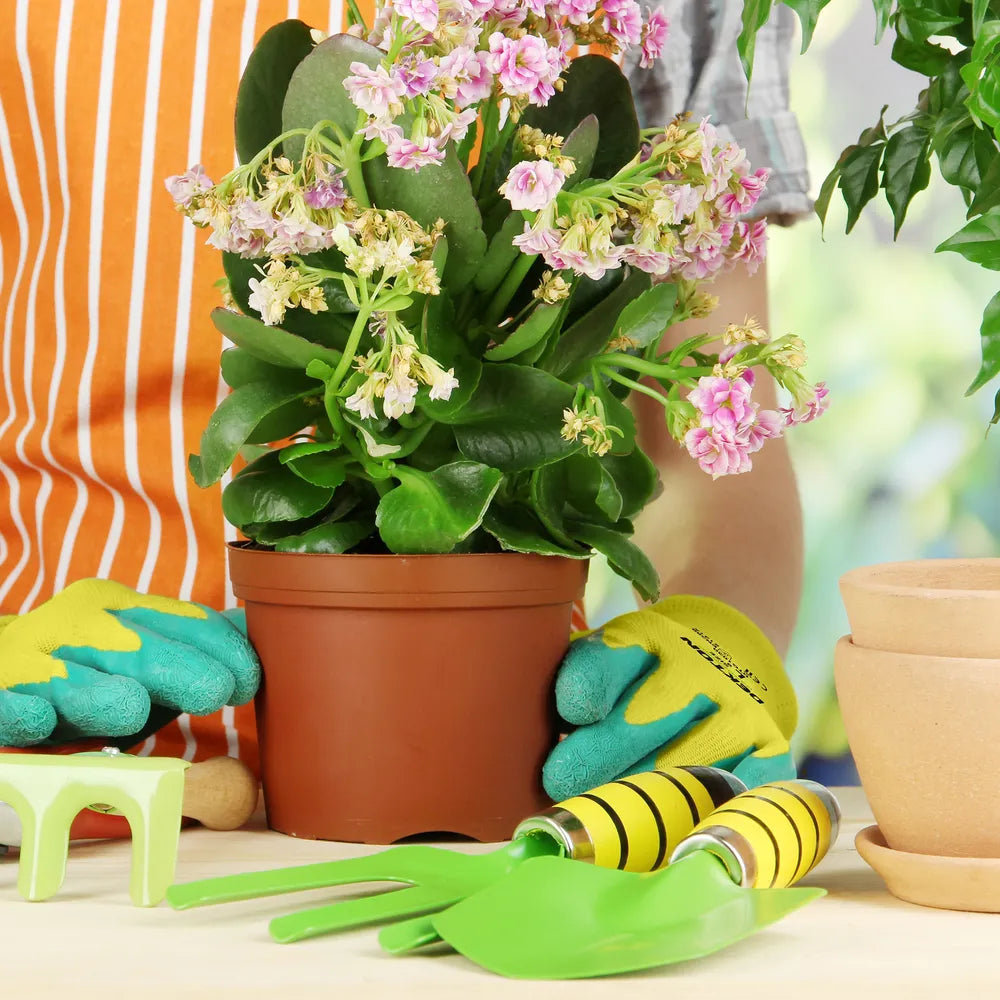 Dekton 9 Large Gardening Gloves Latex Dipped Gripper Gloves (DTG1030)