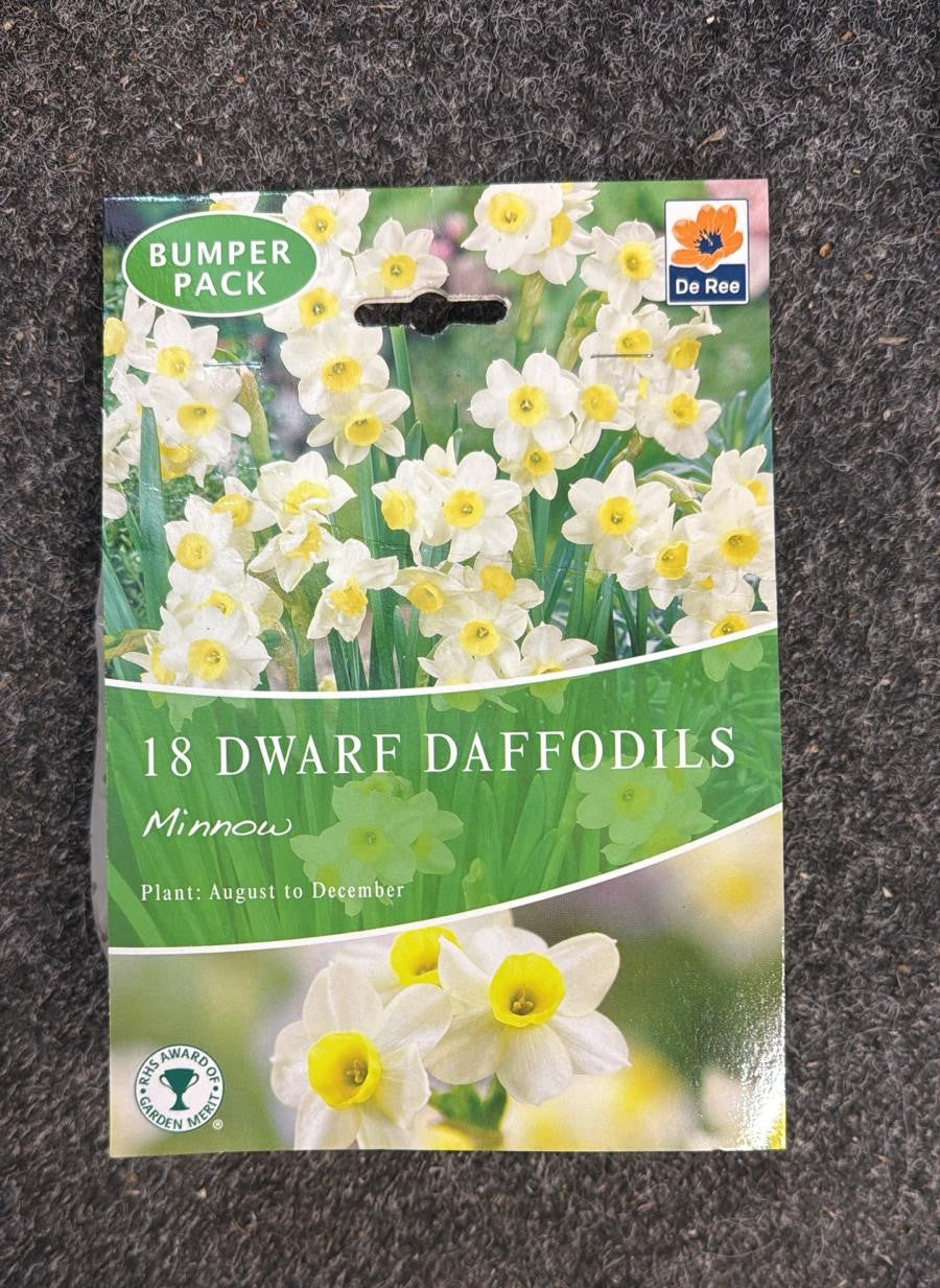 De Ree UK Spring Flowering Bulbs