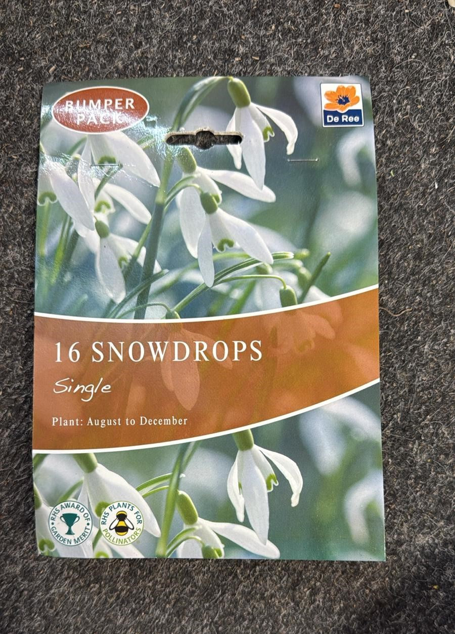 De Ree UK Spring Flowering Bulbs