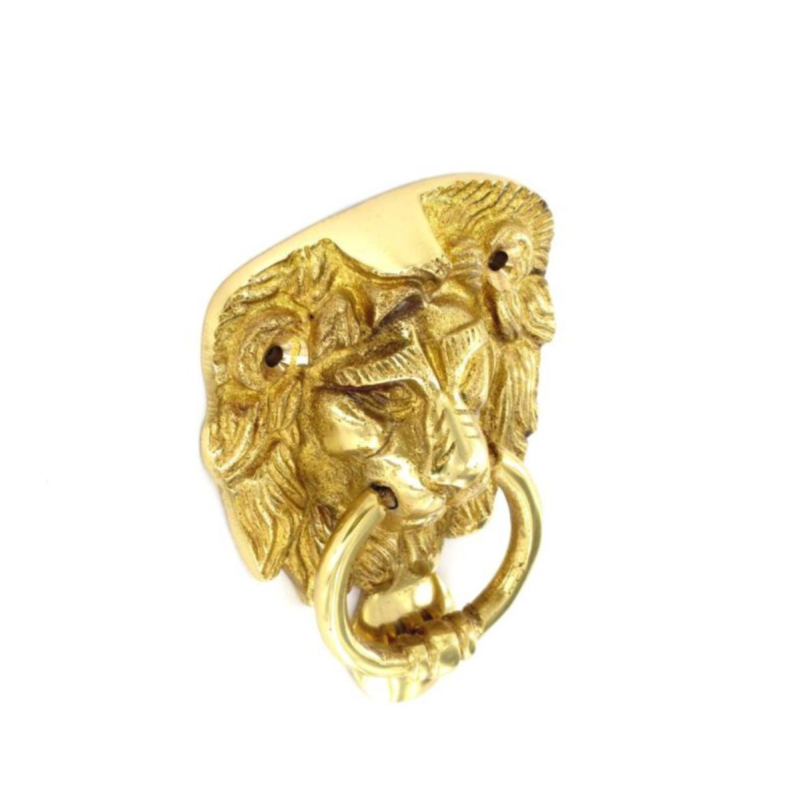 Securit Polished Brass Lion Head Door Knocker (S2272)