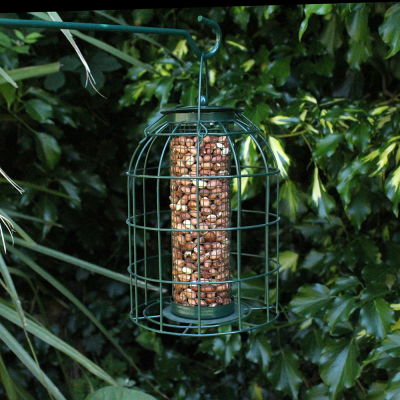 Nature's Market Bird Nut Feeder With Squirrel Guard (BF008N)