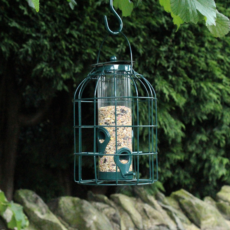 Nature's Market Wild Bird Seed Feeder With Squirrel Guard (BF008S)