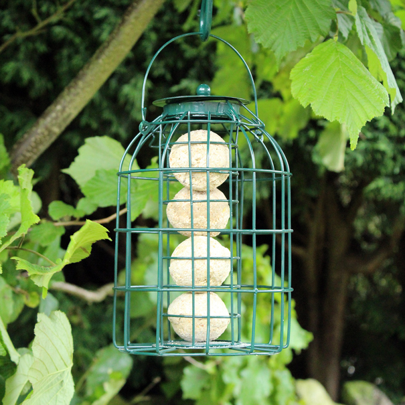 Nature's Market Suet Fat Ball Bird Feeder With Squirrel Guard (BF008FB)
