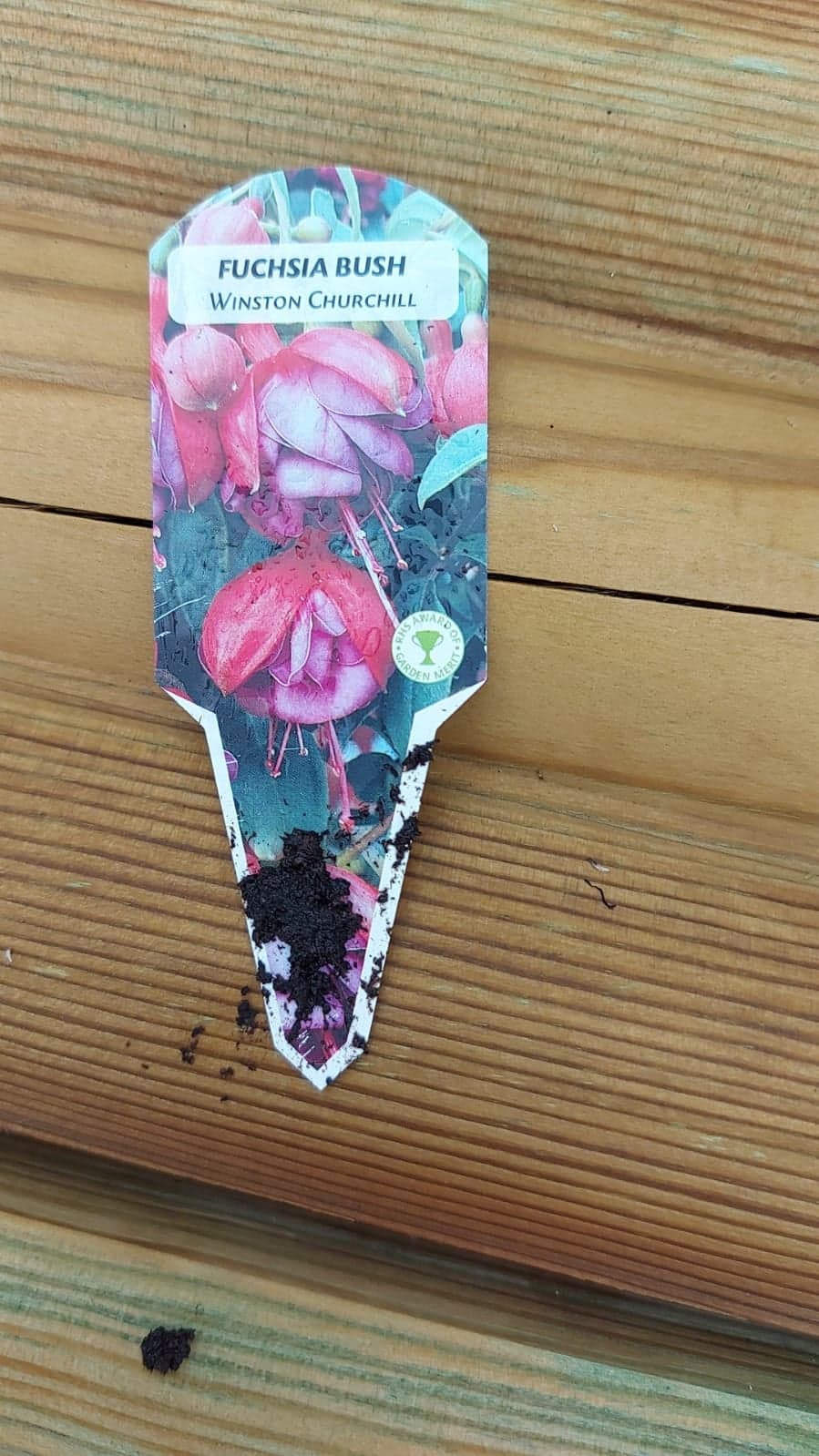 British Grown Trailing Plants Individual Pots & Geraniums- (10 for £20) (LOCAL PICKUP / DELIVERY ONLY)