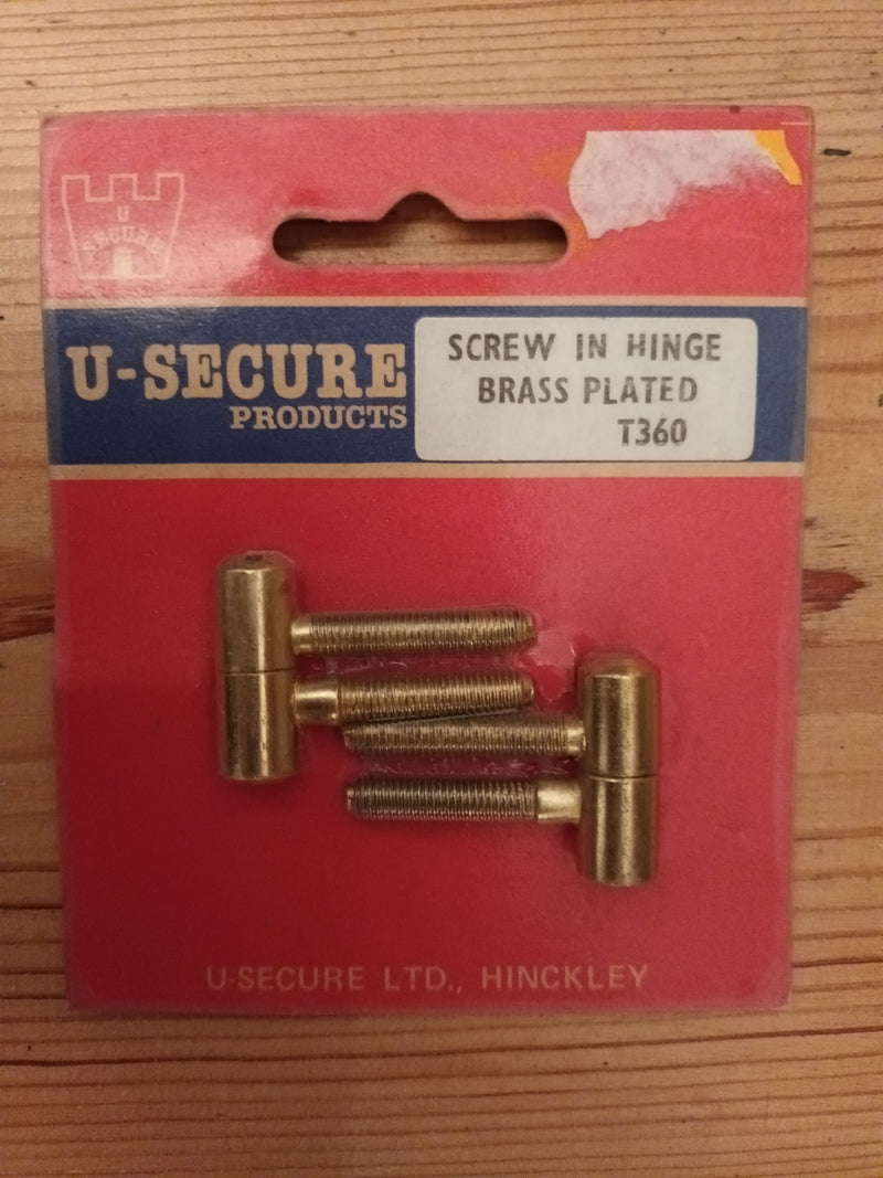 9mm Brass Plated Pin Hinges