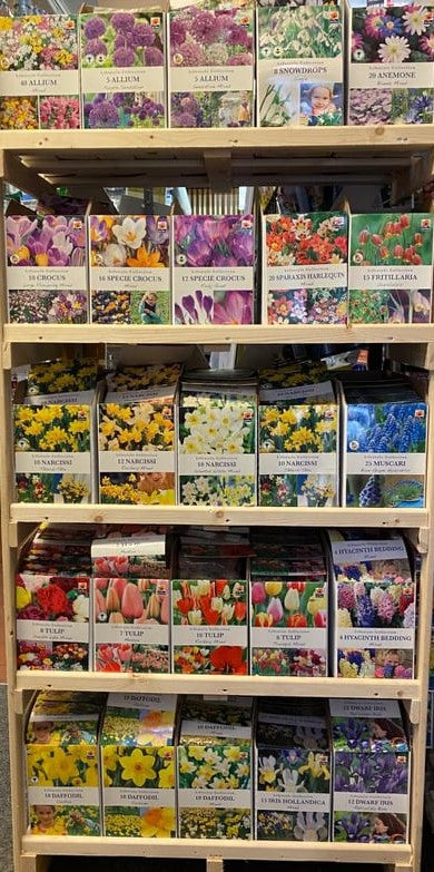 De Ree UK Lifestyle Spring Flowering Bulbs