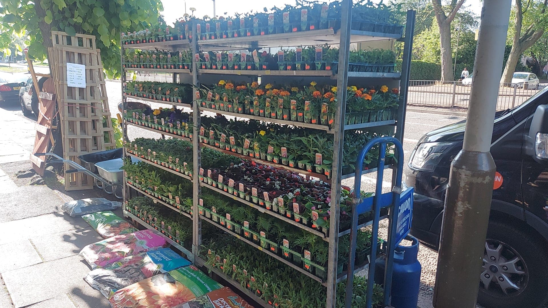 British Grown Summer Bedding Plants (5 TRAYS FOR £17.50) (LOCAL PICKUP / DELIVERY ONLY)