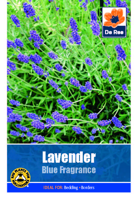 De Ree - Seeds - Flowers - Hardy Perennials - Mixed Flowers