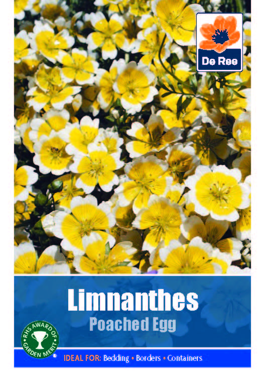 De Ree - Seeds - Flowers - Hardy Annuals - Mixed Flowers