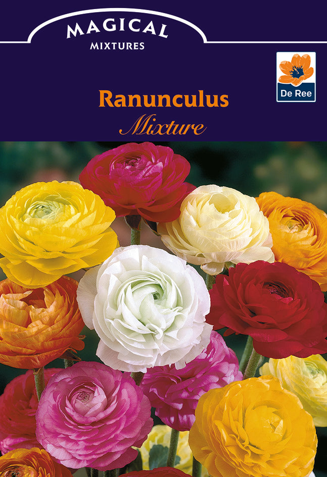 De Ree UK Magical Mixtures & Colour Combinations Spring Flowering Bulbs