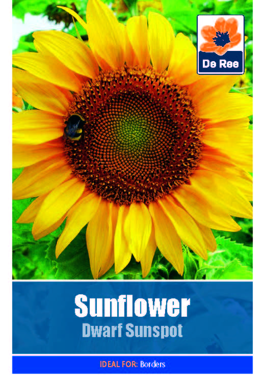 Sunflower Challenge Activity Sheet