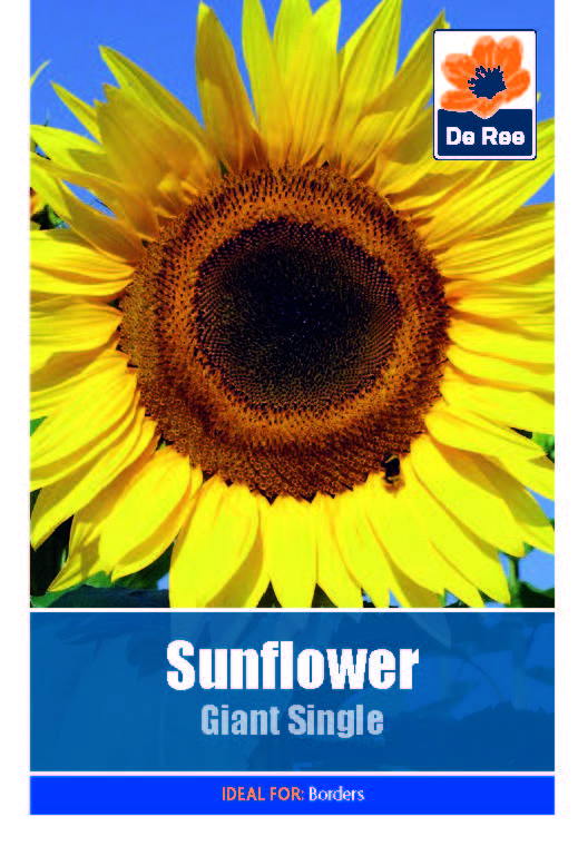 Sunflower Challenge Activity Sheet