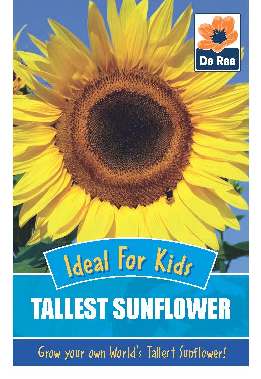 Sunflower Challenge Activity Sheet