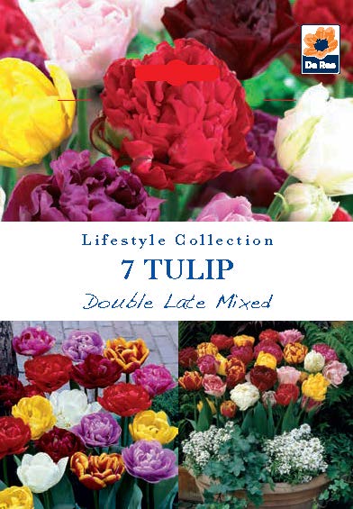 De Ree UK Lifestyle Spring Flowering Bulbs