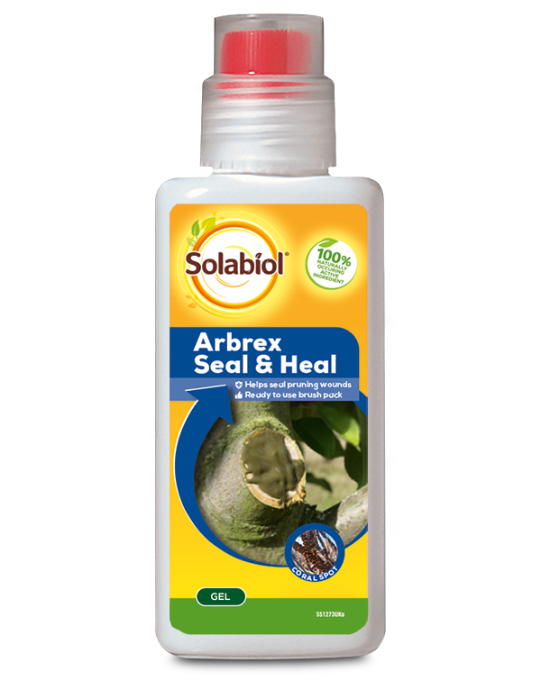 Solabiol - Arbrex Seal & Heal - 300g