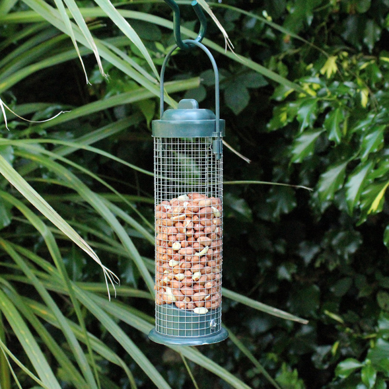 Nature's Market Wild Bird Nut Feeder (BF027)