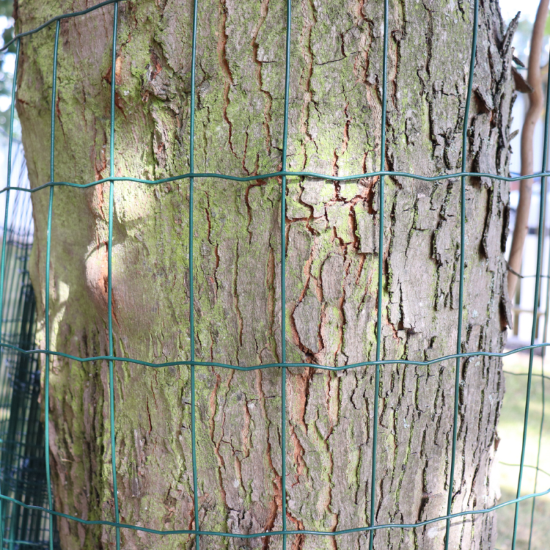 Kingfisher Plastic Coating Mesh Wire Fencing 100mm x 50mm - 1m x 5m (WNETTF1)