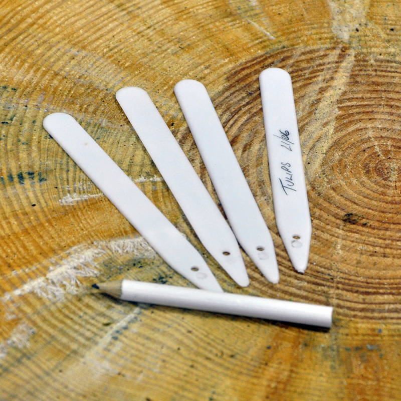 Nature's Market 50 Plant Labels & Pencil (GSP202)