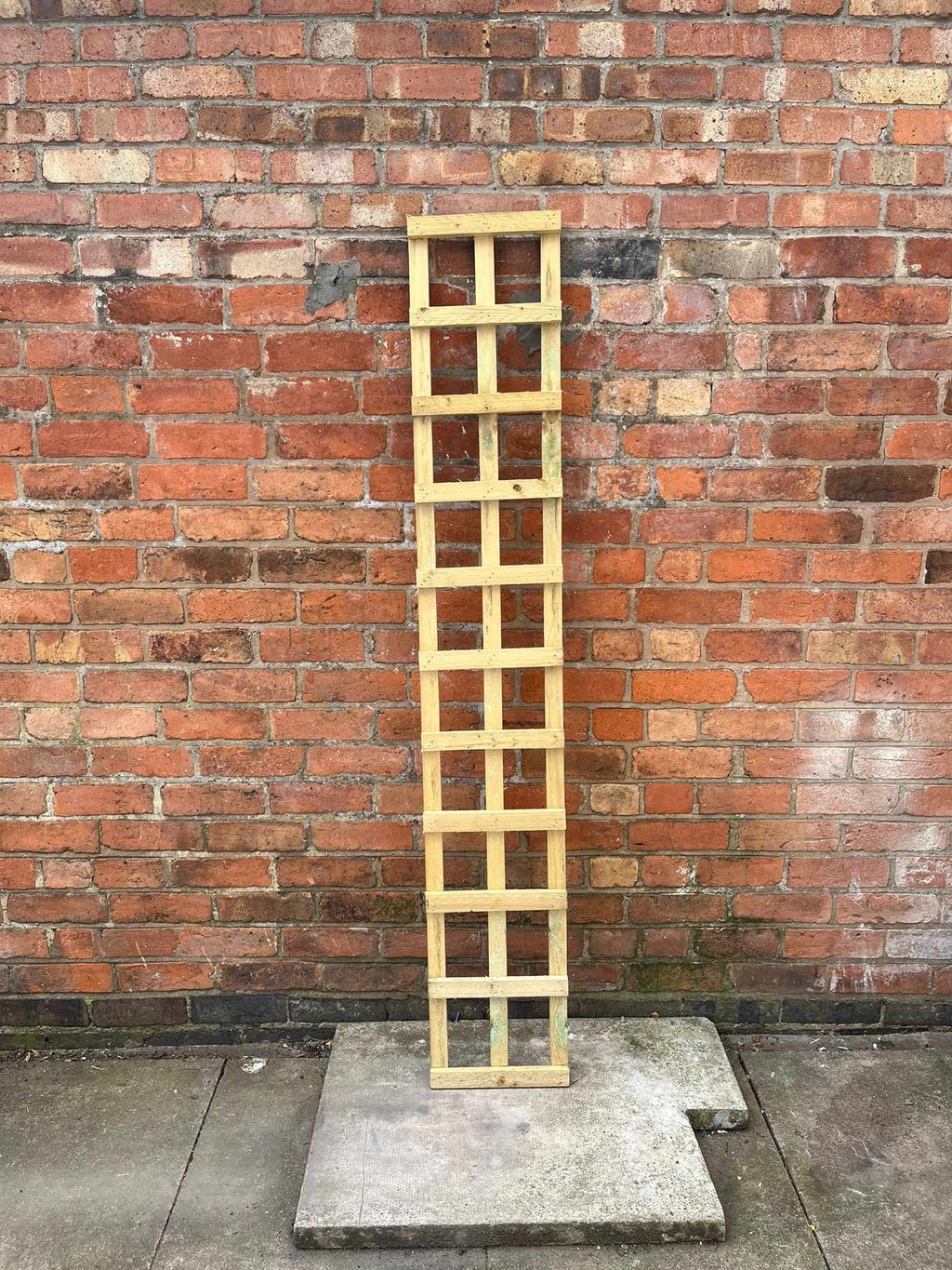 Rectangle Trellis Handmade 6 Foot (1.8m) Outdoor Rectangle Sturdy Trellis (LOCAL PICKUP