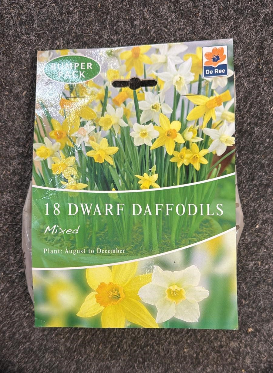 De Ree UK Spring Flowering Bulbs