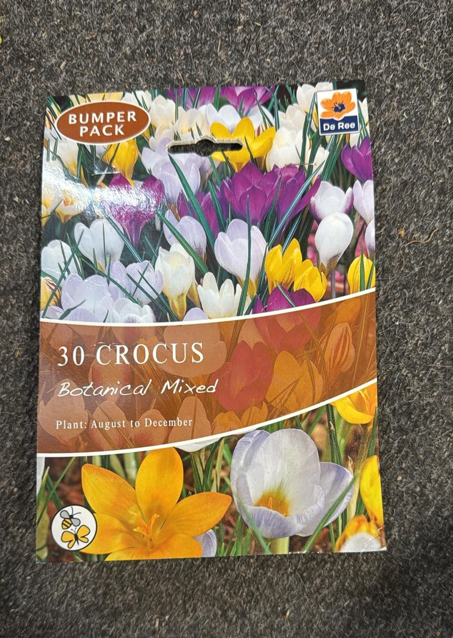 De Ree UK Spring Flowering Bulbs