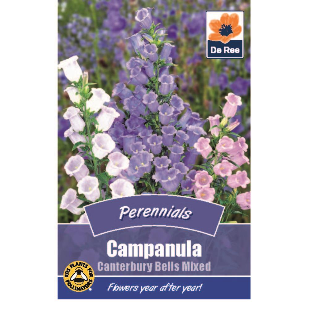 De Ree - Seeds - Flowers - Hardy Perennials - Mixed Flowers (Buy 5 Packs of Seeds Get 6th Free)