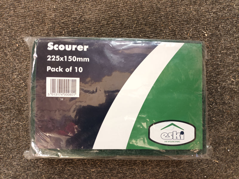 Scourers 225 x 150mm - 10 Pack