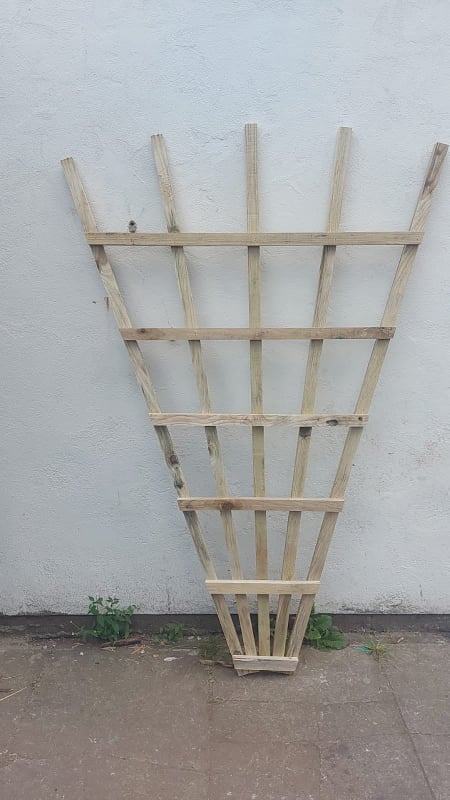 Handmade 6 Foot Fan Trellis (LOCAL PICKUP / DELIVERY ONLY)
