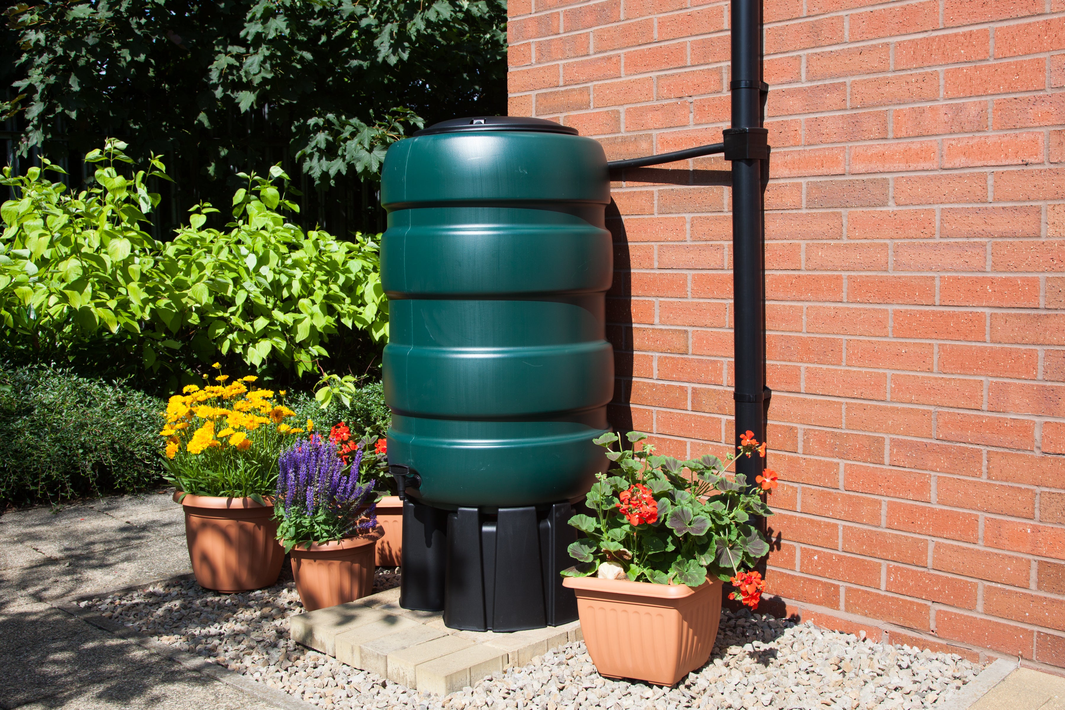 230 Litre Traditional / Standard Water Butt & Full Kit (G29WB23G) (LOCAL PICKUP / DELIVERY ONLY)