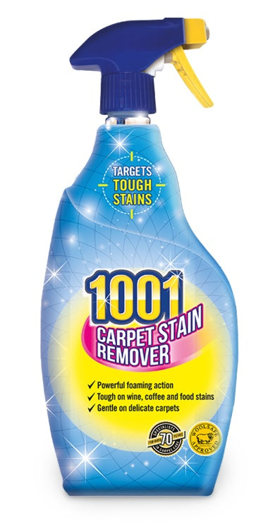 1001 Carpet Stain Remover - 500ml