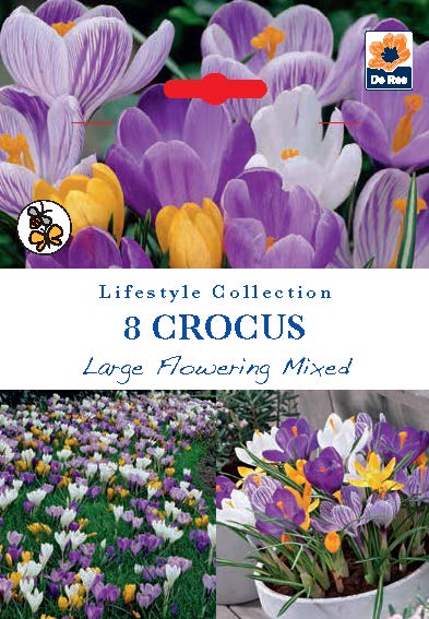 De Ree UK Lifestyle Spring Flowering Bulbs