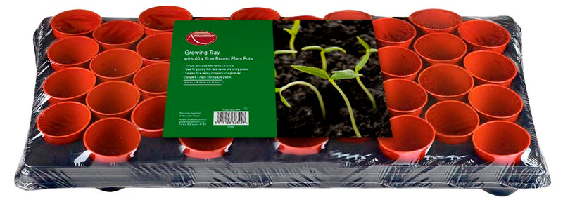 Ambassador - Growing Tray - 40 x 6cm Round Plant Pots (LOCAL PICKUP/DELIVERY ONLY)