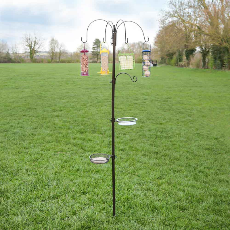 Nature's Market Deluxe Bird Feeding Station (BFSD)