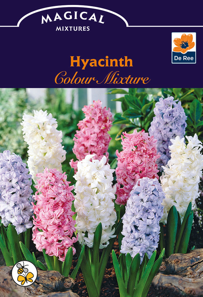Spring Bulb Mixture De Ree UK Magical Mixtures & Colour Combinations Spring Flowering Bulb