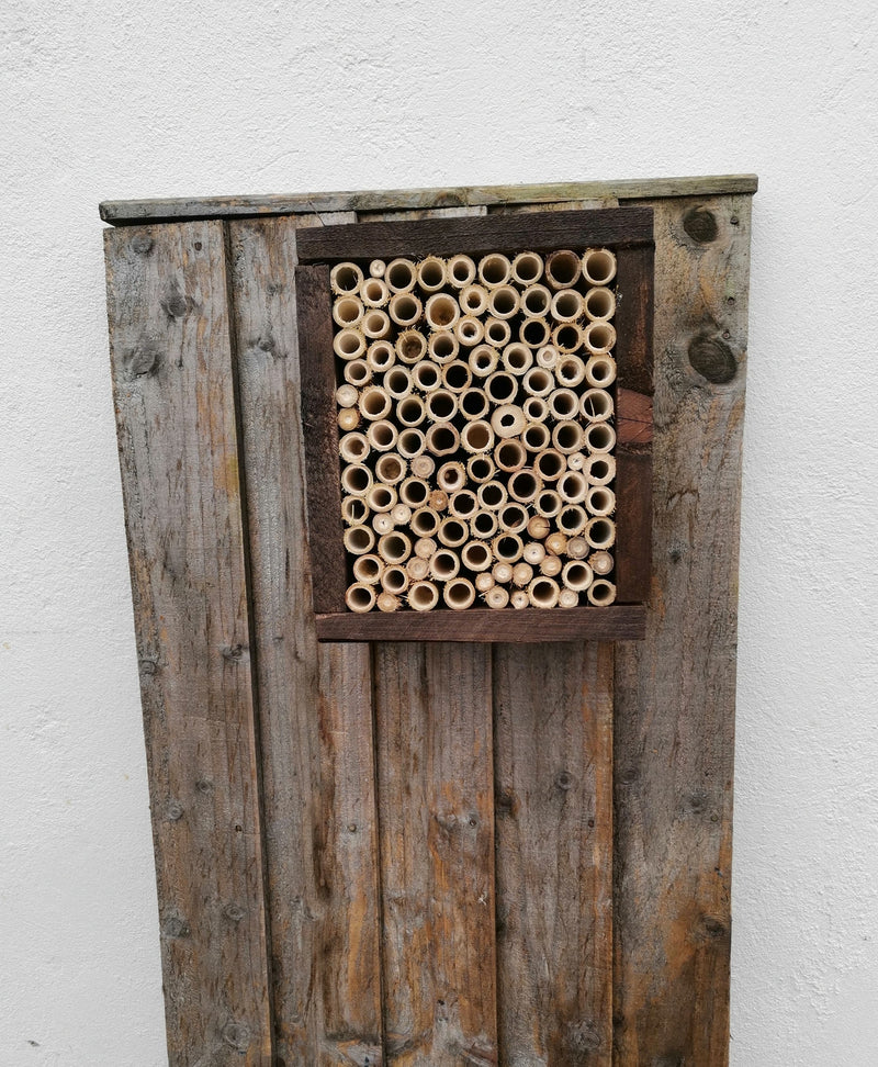 Handmade Insect House/ Bee Hotel