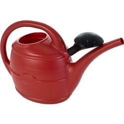 Plastic Watering Can With Rose - 5 litres