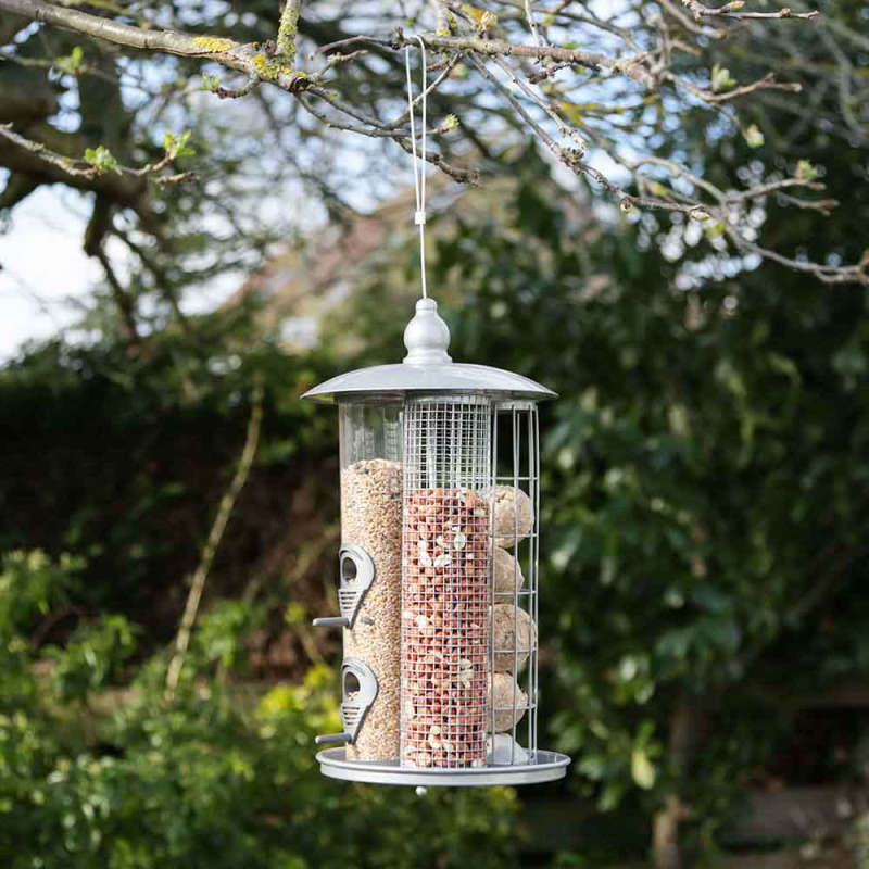 Deluxe 3 in 1 Suet Fat Ball, Seed & Nut Feeder (BF038)
