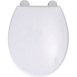 White Plastic Toilet Seat